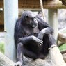 おやじ