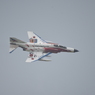 松島基地航空祭 2018 オジロファントム スペシャルマーキング