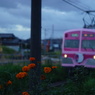 日没前に