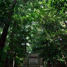 狭田国生神社