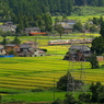 秋、色づく季節　地鉄愛～♪