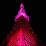 夜空にそびえる　（TOKYO Tower Pink Light ver）
