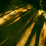 Thousand wandering