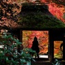 京都●安楽寺の秋