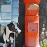 郵便ポストと牛！？