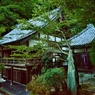 竹生島宝厳寺の護摩堂と月定院