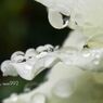 水滴