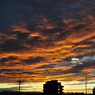 名古屋の夕暮れ。
