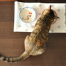 食事中
