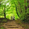 未来への階段