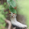 Petit dreaming