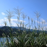 宮ケ瀬湖16