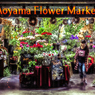 ９月は薔薇の香り