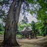 虫時雨　氏神様境内