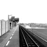 P1040168(1)
