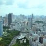 東京の緑