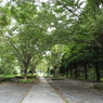 初秋の智光山公園散策1