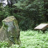 初秋の智光山公園散策4