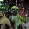 狛犬_渋谷氷川神社