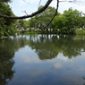 初秋の智光山公園散策11