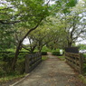 初秋の智光山公園散策13