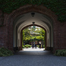 自由の学府