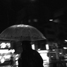 Women's Rain