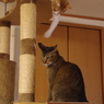 そらとなぎ