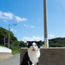 ボス笑顔で(^_^)／おはよー