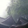静寂と霧の朝。