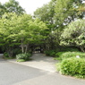 初秋の日本庭園1
