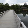 初秋の日本庭園14