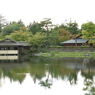 初秋の日本庭園16