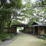 初秋の日本庭園20