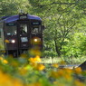 渡良瀬渓谷鉄道