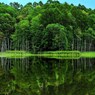An unexplored area