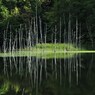 クンネチュプの末裔