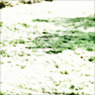 WHITE NOISE (07)
