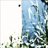 WHITE NOISE (12)