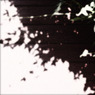 WHITE NOISE (13)