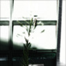 WHITE NOISE (14)