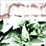 WHITE NOISE (16)