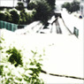 WHITE NOISE (18)