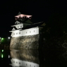 銀鯰御形兜の城。