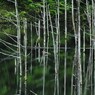湖上のボレロ