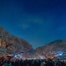「夜桜」