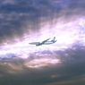 39 Fly in The Beams
