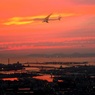 40 Jet in The Rose madder