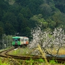 岐阜　樽見鉄道