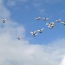 空は気持ちよいよ
